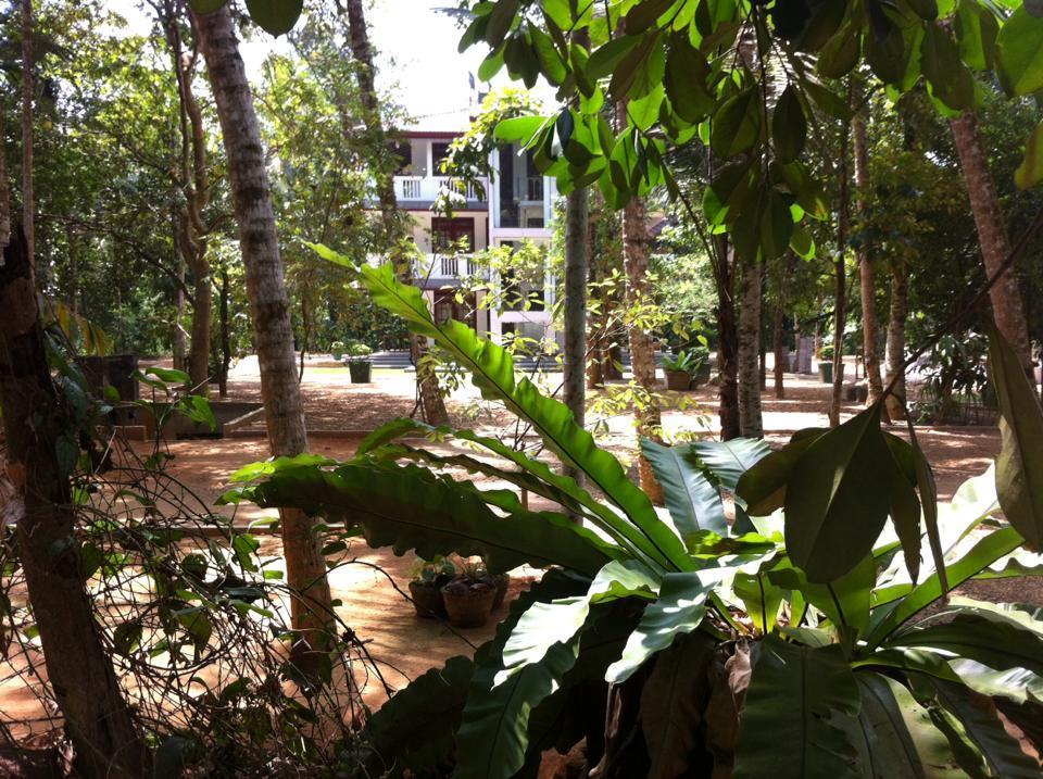 Gem Field Rest Bed & Breakfast Ratnapura Eksteriør bilde